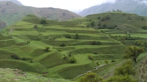 Земледельческие террасы Дагестана